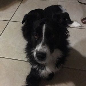 Meet your Posher, Celena